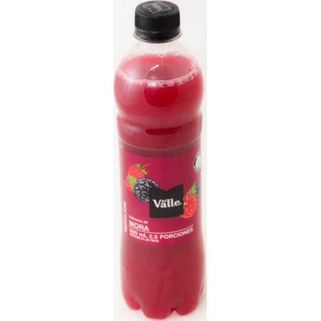 Jugo Del Valle Frutal Mora 500 ML