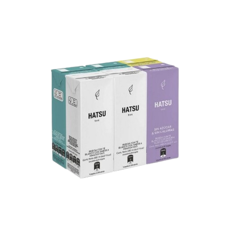 Té Hatsu Tetra Surtidos x 200 ml x 6u