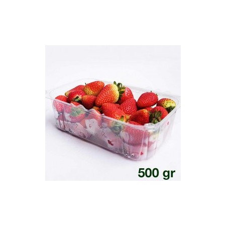 Caja fresa hidroponica Caja fresa hidroponica
