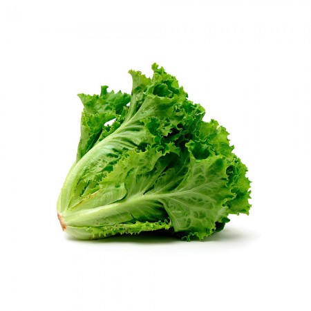 Lechuga crespa