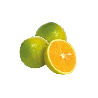 Naranja Valenciana X Kilo