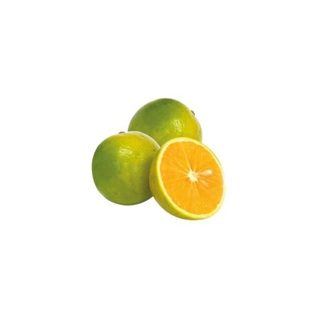 Naranja Valenciana X Kilo